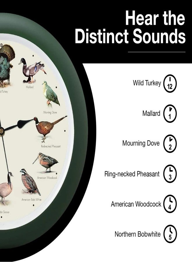 Mark Feldstein & Associates Mark Feldstein, Singing Wild Game Birds of North America Wall Clock, 13 Inch, Green - Image 4