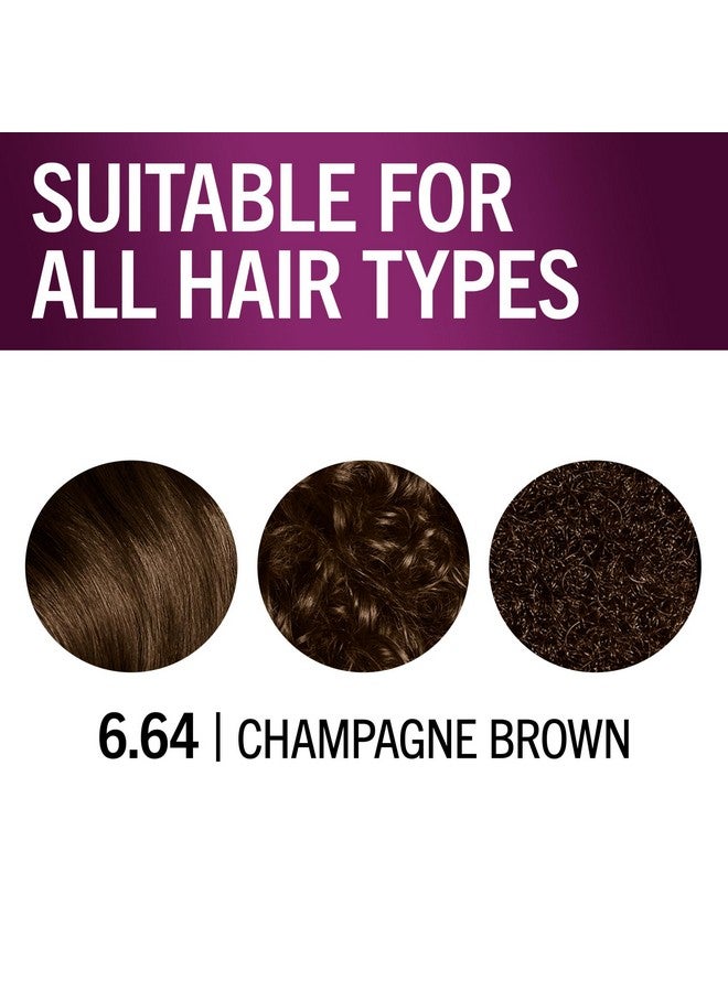 Schwarzkopf Keratin Color Permanent Hair Color, 6.64 Champagne Brown, 1 Application - Salon Inspired Permanent Hair Dye, for up to 80% Less Breakage vs Untreated Hair and up to 100% Gray Coverage - Image 5