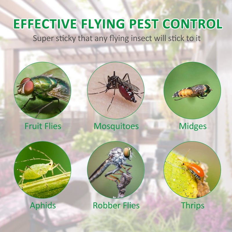 50Pcs Sticky Bug Trap Dual-sided Sticky Flying Insect Traps Indoor Outdoor House Plants Fly Paper for Fruit Fly Fungus Gnat Thrip - Image 5