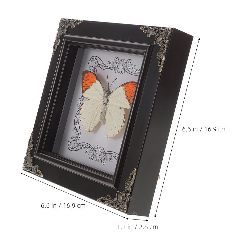 Real Butterfly Specimen Frame Vintage Butterfly Frame Butterfly Display Frame Butterfly Specimen Framed Display - Image 3