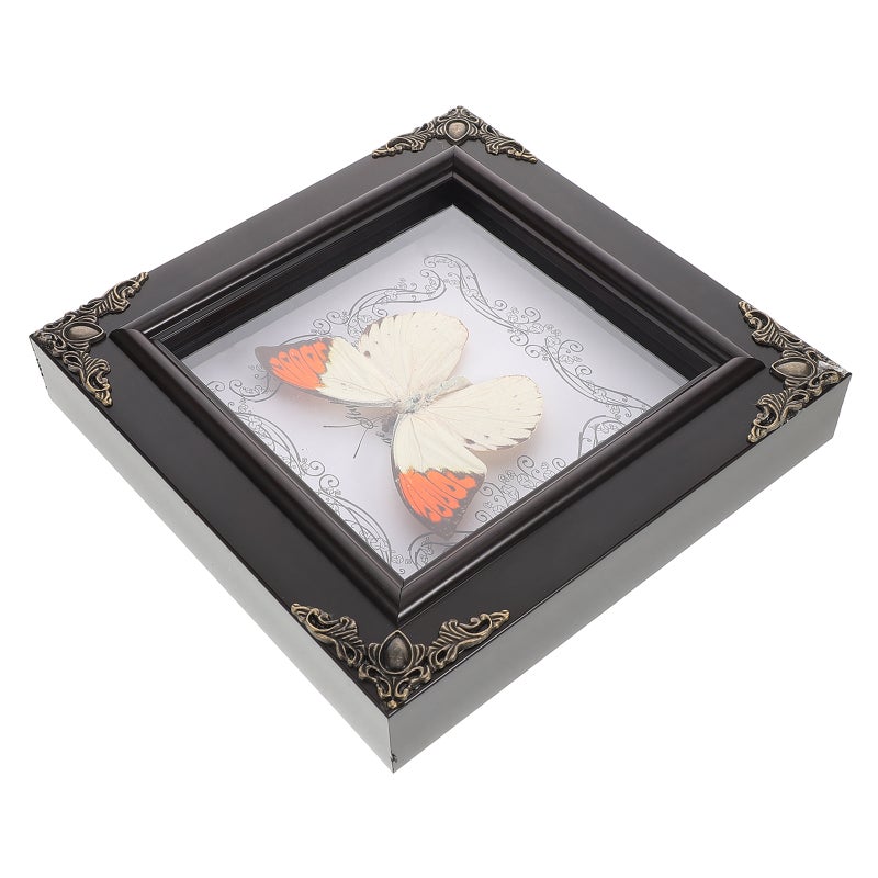 Real Butterfly Specimen Frame Vintage Butterfly Frame Butterfly Display Frame Butterfly Specimen Framed Display - Image 4