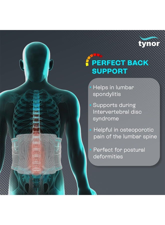 TYNOR Contoured L.S. Support, for Lower Back Pain Relief & Posture Correction | Adjustable Lumbar Brace for Daily Comfort for Men & Women | Tailbone Back Posture Corrector, (Grey, Medium) - Image 4