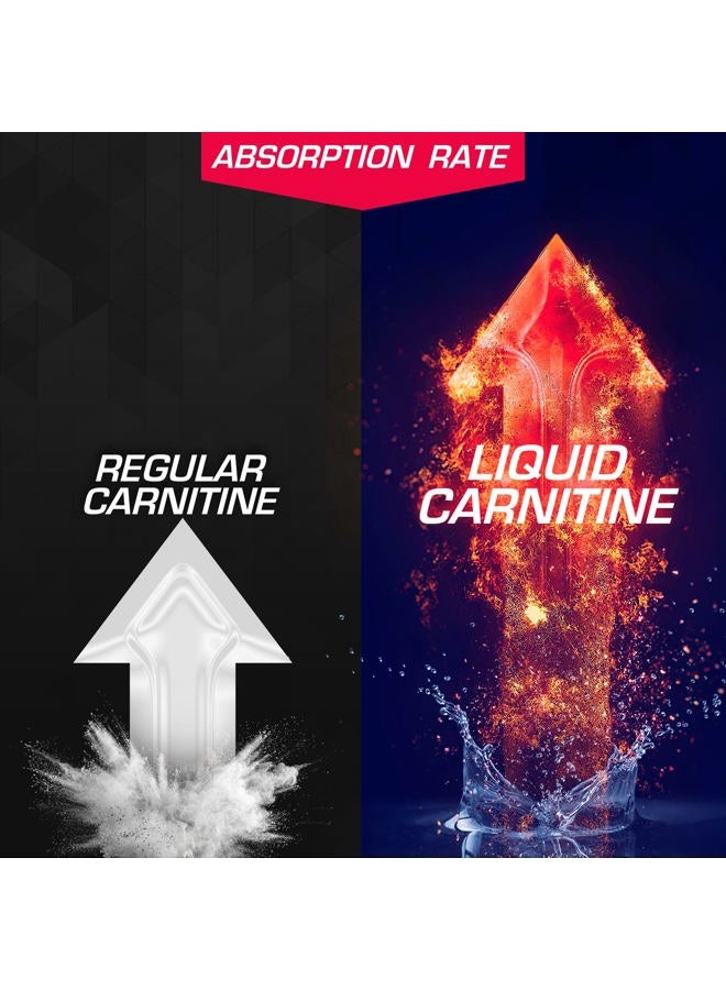 L-Carnitine Liquid 1500mg, Improve Performance and Strength, Vitamin B5 (31 Servings, Fruit Punch)