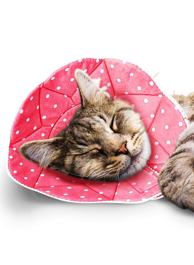 SunGrow Pet Cute Comfy Cone - Post Surgery Stress-Free Recovery Collar - Durable, Scratch-, Bite-, Water-Resistant, Easy to Wipe & Clean - with Adjustable Strap Enclosures for Dogs & Cats - Image 1