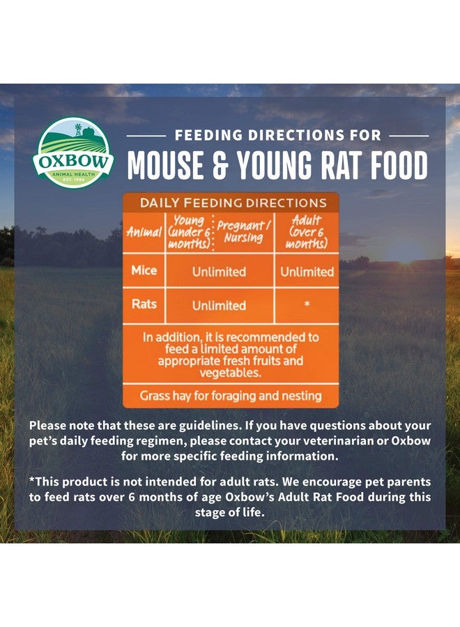 أوكسبو طعام أوكسبو أنيمال هيلث جاردن سيليكت للفئران والجرذان الصغيرة، وصفة مستوحاة من الحديقة للجرذان والفئران الصغيرة من جميع الأعمار، حبيبات طعام غنية بالفيتامينات والمعادن للحيوانات الأليفة، غير معدلة وراثيًا، صنع في الولايات المتحدة الأمريكية، كيس وزن 2 رطل - Image 4