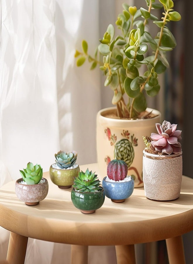T4U 2.5 Inch Small Ceramic Succulent Planter Pot with Drainage Hole Set of 12, Ice Crack Glaze Plant Container for Cactus, Plant Lover Gifts for Women Mom Aunt Home Office Decor - Image 3
