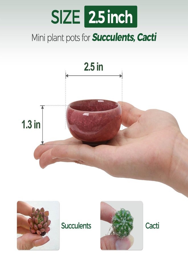 T4U 2.5 Inch Small Ceramic Succulent Planter Pot with Drainage Hole Set of 12, Ice Crack Glaze Plant Container for Cactus, Plant Lover Gifts for Women Mom Aunt Home Office Decor - Image 2