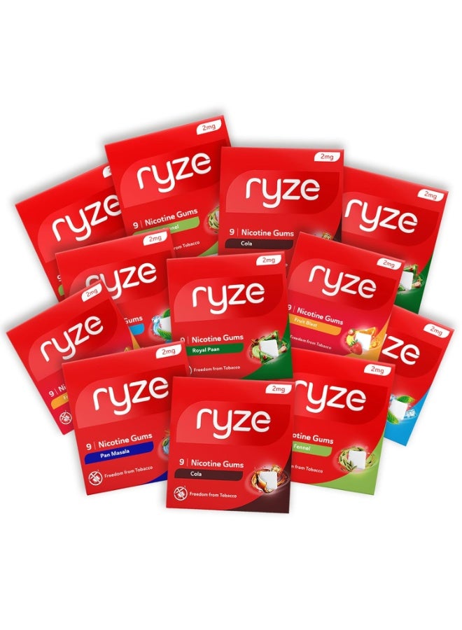 رايز علكة رايز بالنيكوتين 2 ملغ | علكة بنكهة النعناع المثلج 2 ملغ | عبوة من 4 قطع (36 علكة) | لطيفة على الحلق | معتمدة من إدارة الغذاء والدواء الأمريكية | خالية من السكر | خصائص تبييض الأسنان - Image 4