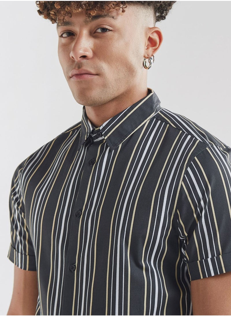FAV Striped  Regular
  Fit Shirts  - Image 3