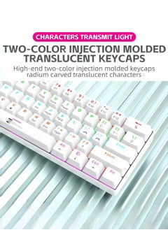 R8 61 Keys Tan Switch Mechanical Gaming Keyboard 60% Mini Wired Waterproof Backlit Silent White RGB Color Suitable for PC/Ps4/Xbox Gamers  - Image 5
