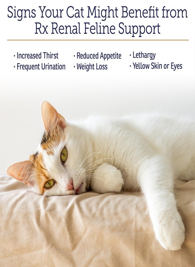 ركس فيتامينز أقراص آر إكس فيتامينز رينال للقطط - دعم كلى القطط بجذر الأستراغالوس ونبات شوك الحليب - يدعم صحة الكلى والمناعة لدى القطط - 100 غرام - Image 2