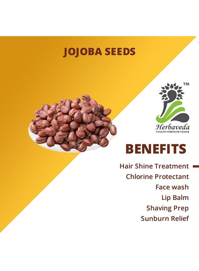 LEANBEING Herbaveda- Jojoba Seeds 100G For Planting|Good For Skin&Hair - Image 3