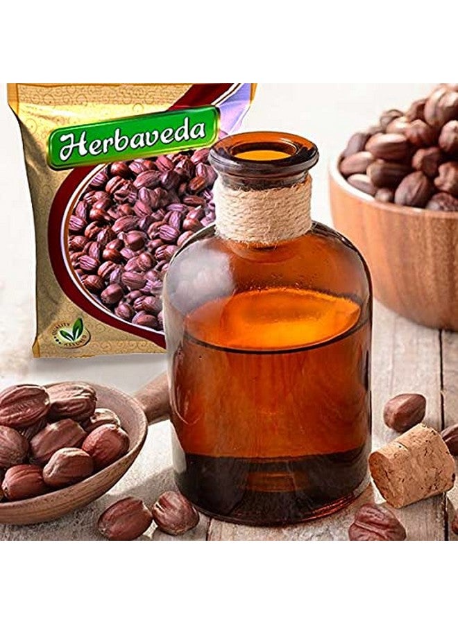LEANBEING Herbaveda- Jojoba Seeds 100G For Planting|Good For Skin&Hair - Image 2