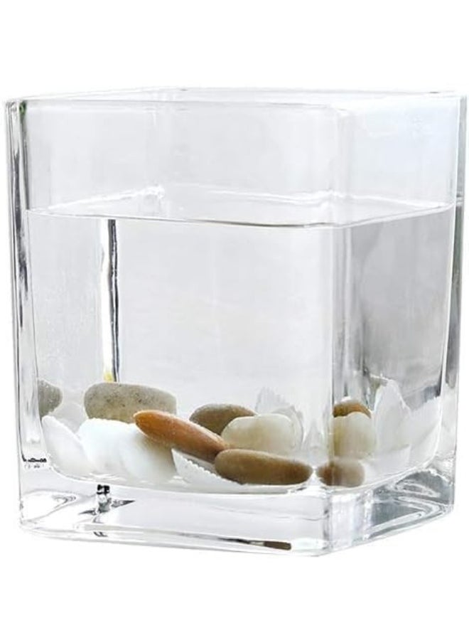 Clear glass square vases with various decorative uses plants, candles, table