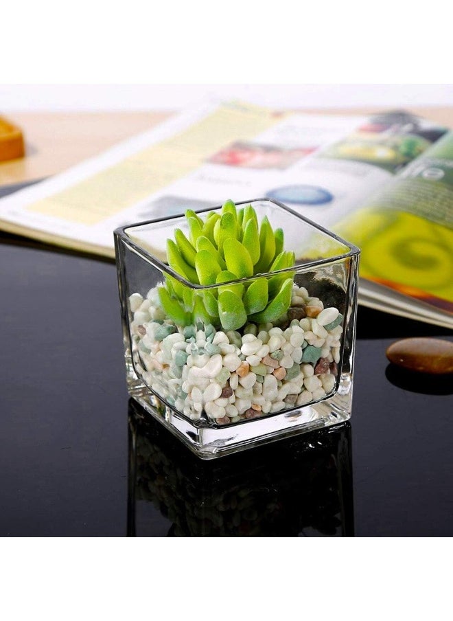Clear glass square vases with various decorative uses plants, candles, table