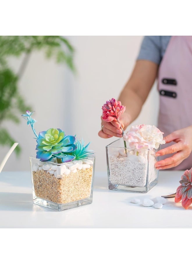 Clear glass square vases with various decorative uses plants, candles, table