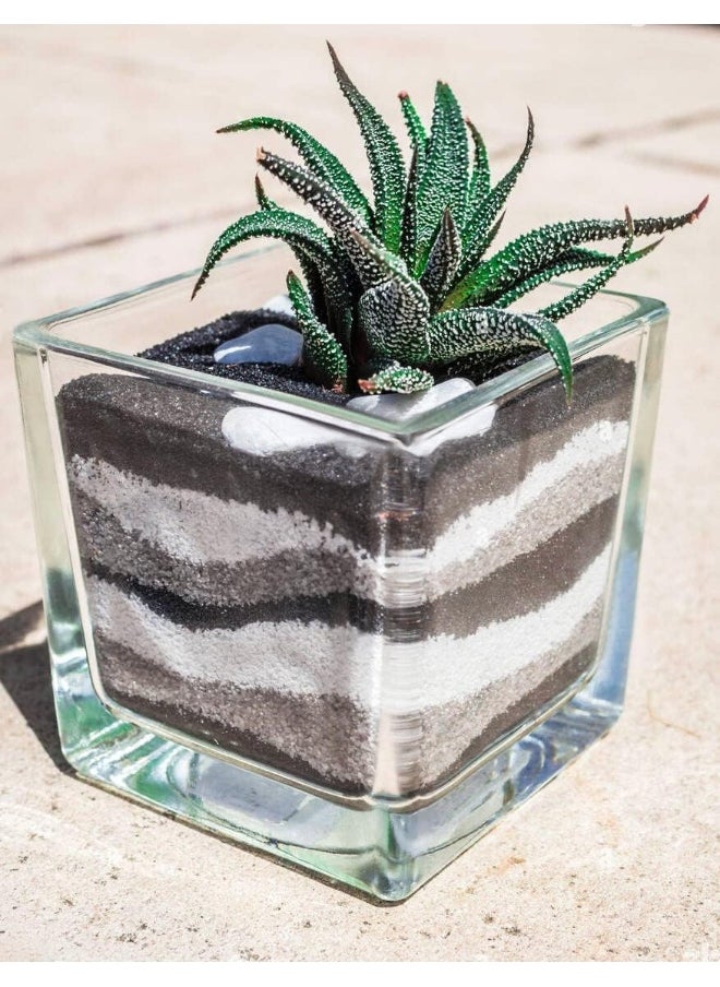 Clear glass square vases with various decorative uses plants, candles, table