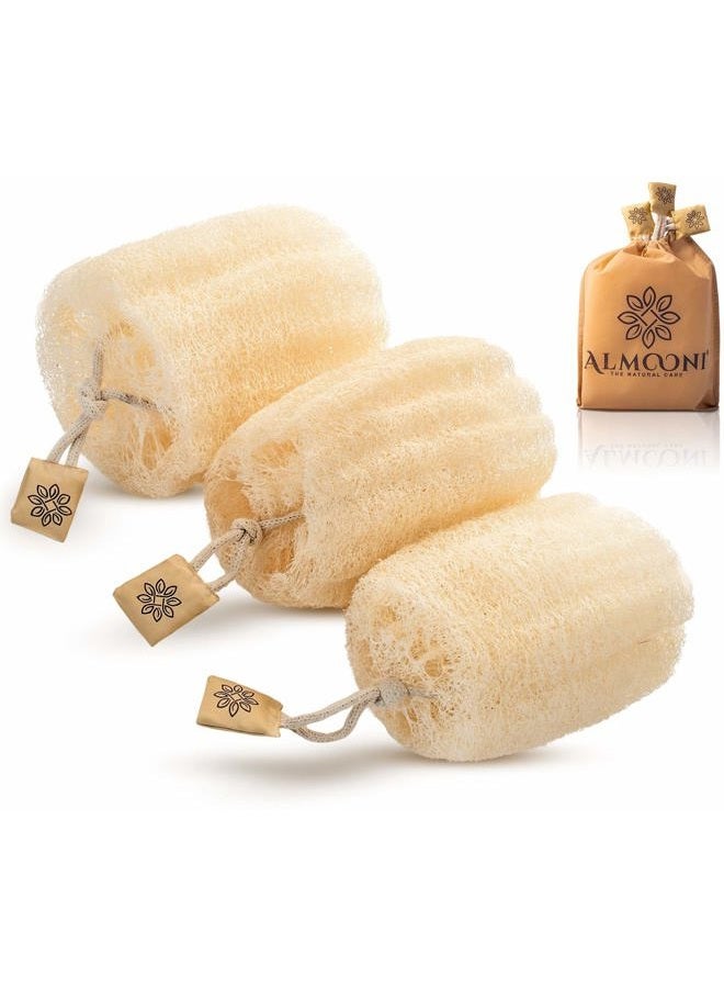 Almooni Egyptian Loofah Exfoliating Body Scrubber, Natural Real Egyptian Shower Loofah Sponge Body Scrubber for Women and Men, for Body and Face That Will Get You Clean - 3 Count (1 Pack) - Image 1