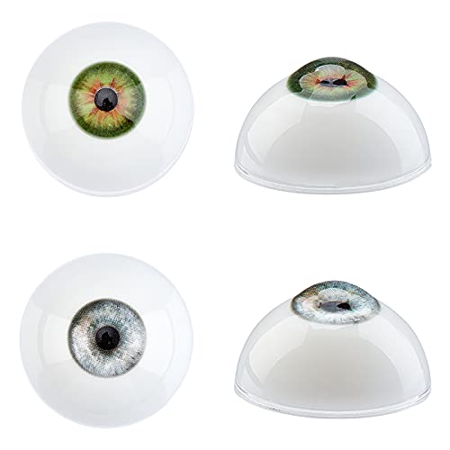 PH PandaHall 2 Pairs 32mm Eyeballs Realistic Human Eyes Large Acrylic Hollow Eyeballs Stuffed Animal Eyeball Bear Eyes for Halloween Party Decor Art Clay Sculptures Props Puppets - Image 1