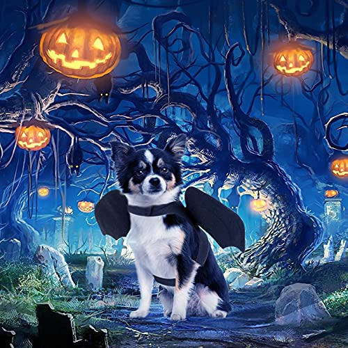 RYPET Dog Halloween Costume - Halloween Bat Wings Pet Costumes for Dogs Cats Halloween Party Medium - Image 5