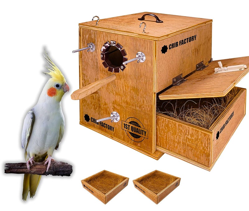 CRIB FACTORY Perfect Breeding Box for Cockatiel Birds | HIGH-QULTY Plywood | 10X10X12 INCH | Designed for Cockatiel (with Two Tray) - Image 1
