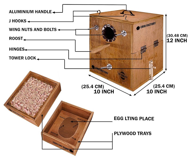 CRIB FACTORY Perfect Breeding Box for Cockatiel Birds | HIGH-QULTY Plywood | 10X10X12 INCH | Designed for Cockatiel (with Two Tray) - Image 4