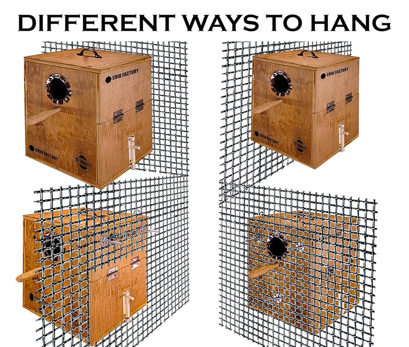 CRIB FACTORY Perfect Breeding Box for Cockatiel Birds | HIGH-QULTY Plywood | 10X10X12 INCH | Designed for Cockatiel (with Two Tray) - Image 5