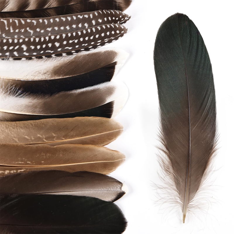 MehelloFeather Natural Pheasant Feathers 12Pcs Bulk Feathers 6 Style for DIY Crafts Hat Floral Arrangements Halloween Decorations - Image 3