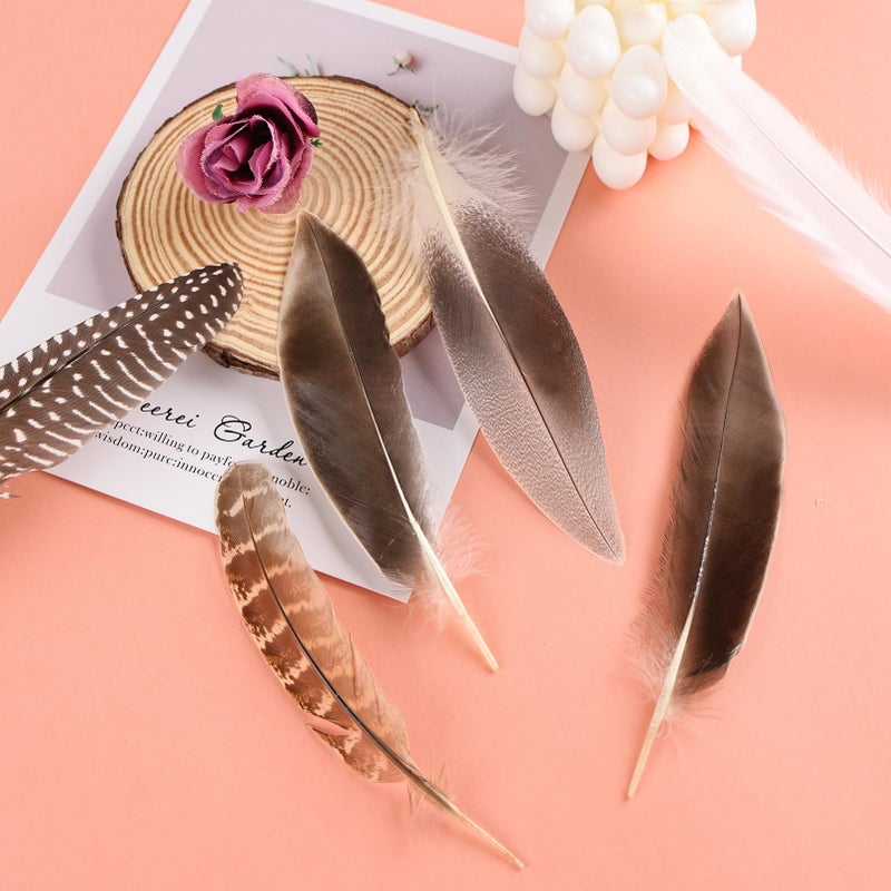 MehelloFeather Natural Pheasant Feathers 12Pcs Bulk Feathers 6 Style for DIY Crafts Hat Floral Arrangements Halloween Decorations - Image 4