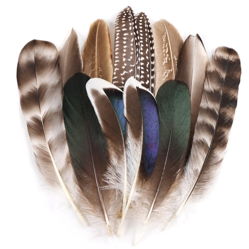 MehelloFeather Natural Pheasant Feathers 12Pcs Bulk Feathers 6 Style for DIY Crafts Hat Floral Arrangements Halloween Decorations - Image 1