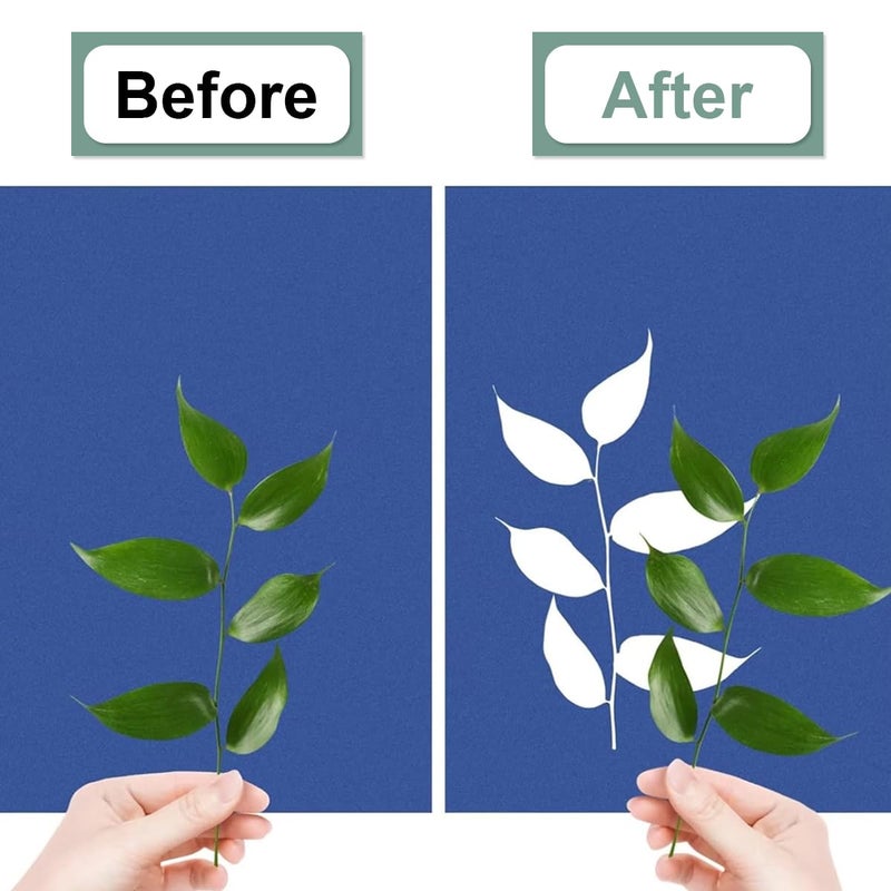 HASTHIP ® 24 Sheets Sun Sensitive Watercolor Paper A5 Cyanotype Papers with Acrylic Panel, High Sensitive Sun Paper White Solar Activated Nature Sun Printing Paper for Kids Adults Crafts DIY Project - Image 4