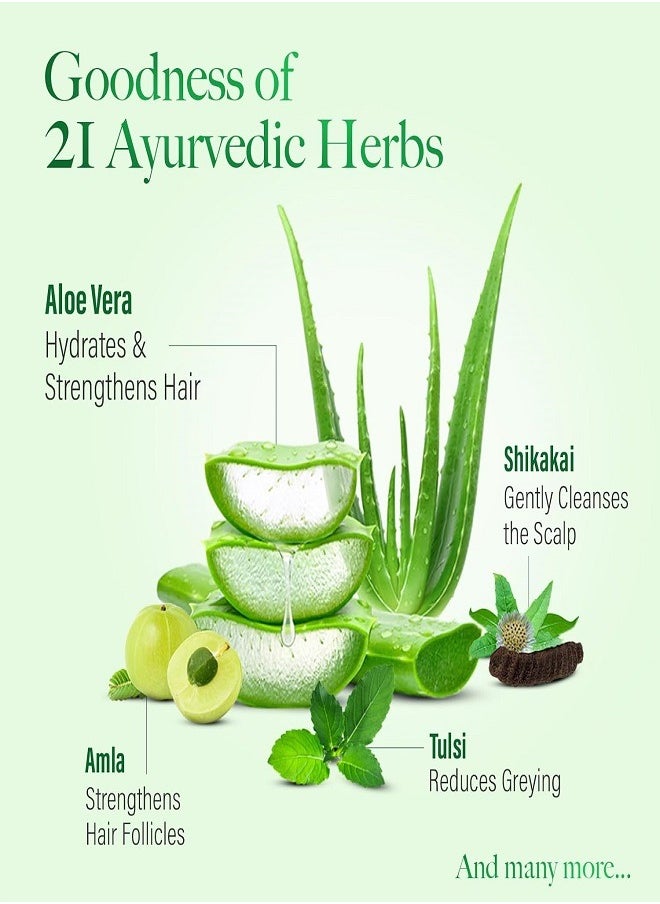 Kesh King Anti Hairfall Shampoo With Aloe And 21 Herbs 340ml  - Image 4