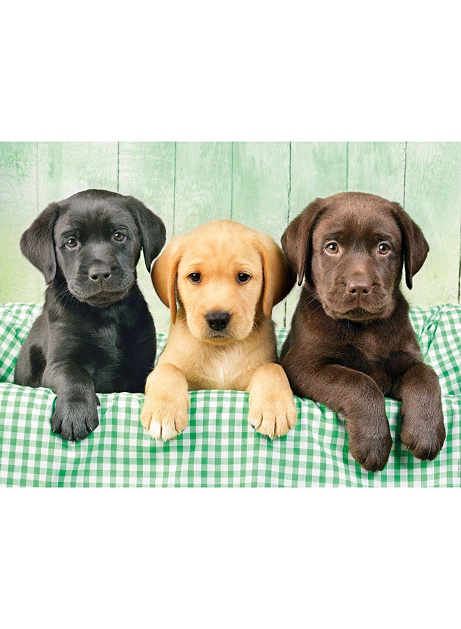 Clementoni 1000 Piece Puzzle – Three Labradors Hqc | Dog Lovers Jigsaw Puzzle High Quality Collection - Image 4