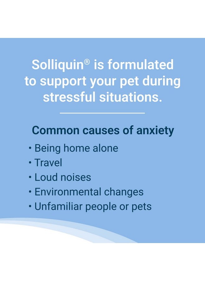 Nutramax Laboratories Nutramax Solliquin Calming Behavioral Health Supplement for Large Dogs - with L-Theanine, Magnolia/Phellodendron, and Whey Protein Concentrate, 75 Soft Chews  - Image 2