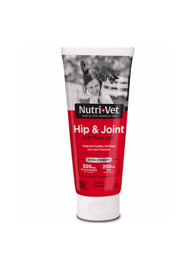 NUTRI FIT Nutri-Vet Hip & Joint Paw Gel Salmon Cats 89ml 