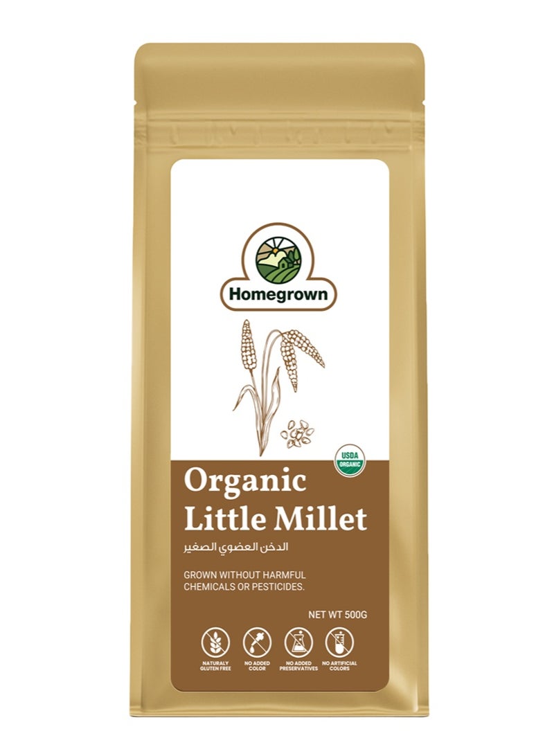 Homegrown Organic Little Millet – 500g | Unpolished, Gluten-Free, High-Nutrition Grain | Perfect for Idli, Upma & Salads - Image 1