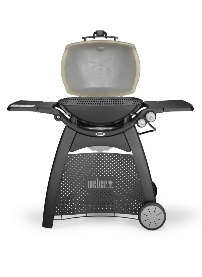 Weber Q 3200 Gas Grill - pzsku/ZCE08E67A6B58E367D6A0Z/45/_/1691997024/e13213b3-47b9-4855-80c5-bcd638d19335