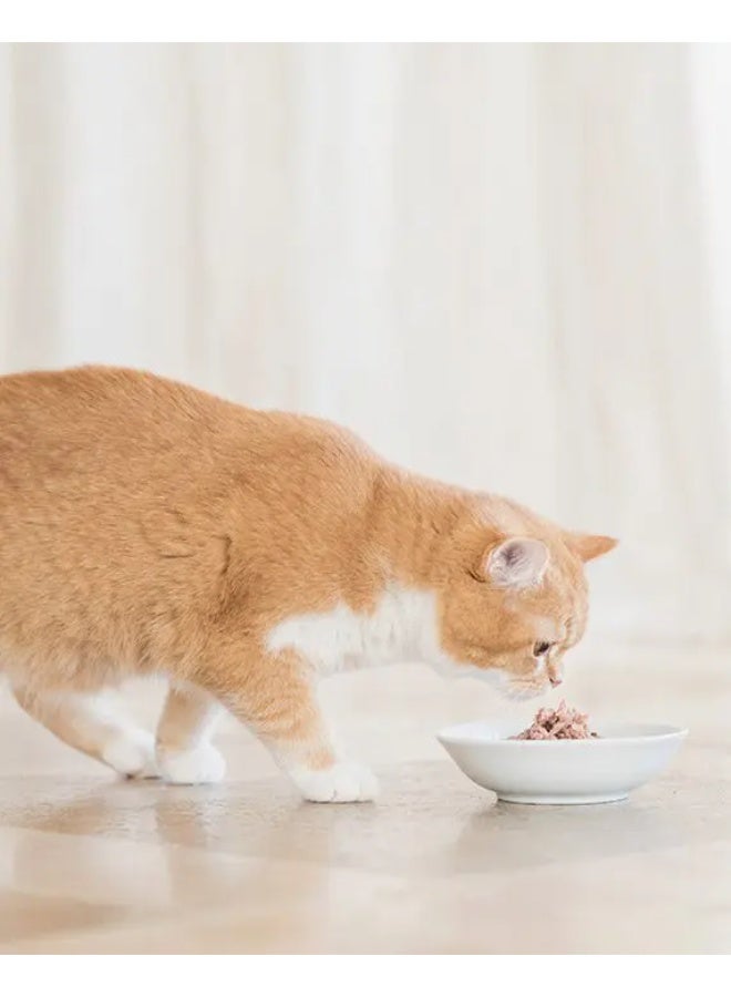 Schesir Kitten Care- Can In Jelly  3-12 Tuna with Aloe Wet Food 6x140g (6pcs) - Image 2