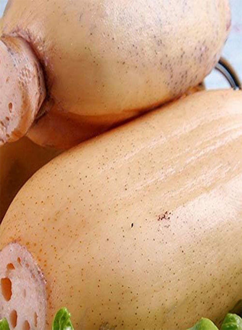 GGOOT 30pcs/Bag Lotus Root Seeds Chinese Vegetable Lotus Root Seeds Aquatic Plants Nelumbo Nucifera Seeds  - Image 2