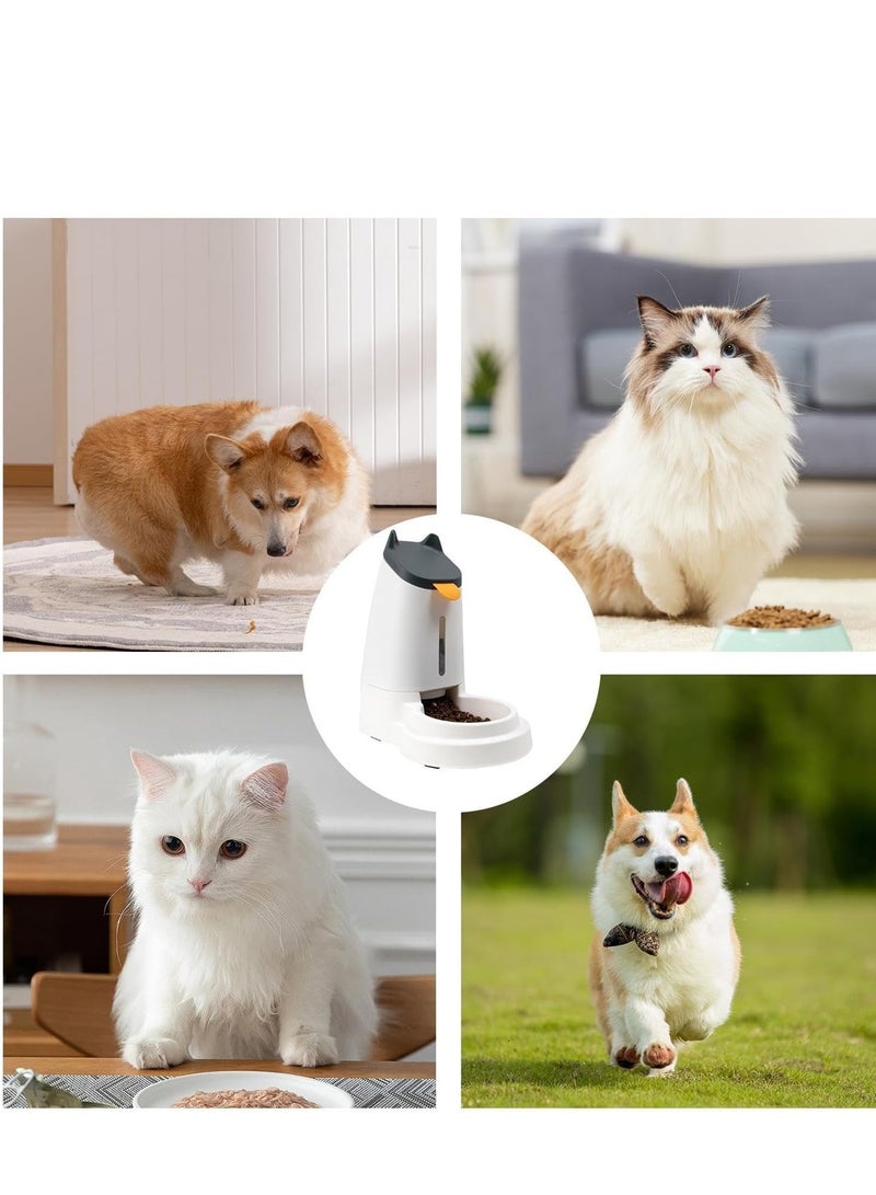 Automatic Pet Food Dispenser – Large Capacity, Anti-Tip, Self-Renewing Water & Food for Cats & Small Dogs - Image 5