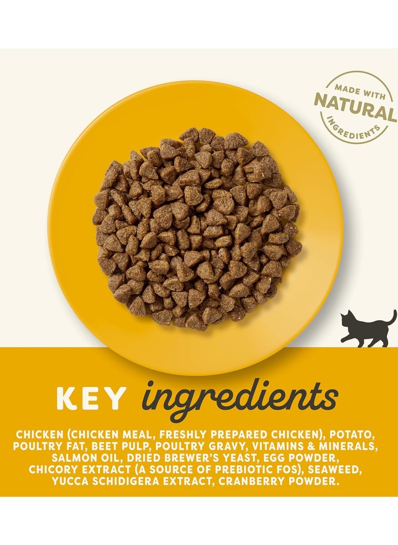 Cat Kitten Dry Food With Chicken Flavor 2KG