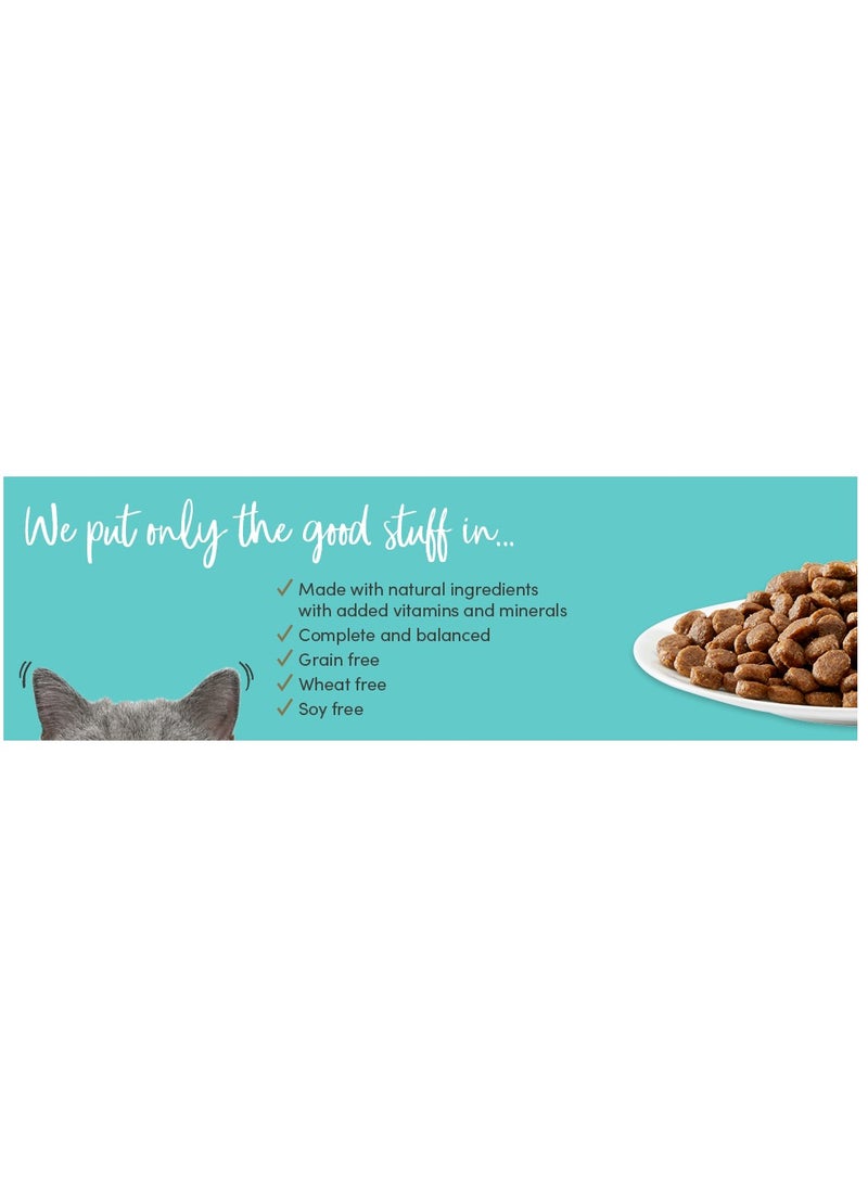 Cat Kitten Dry Food With Chicken Flavor 2KG