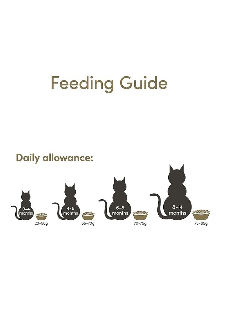 Cat Kitten Dry Food With Chicken Flavor 2KG