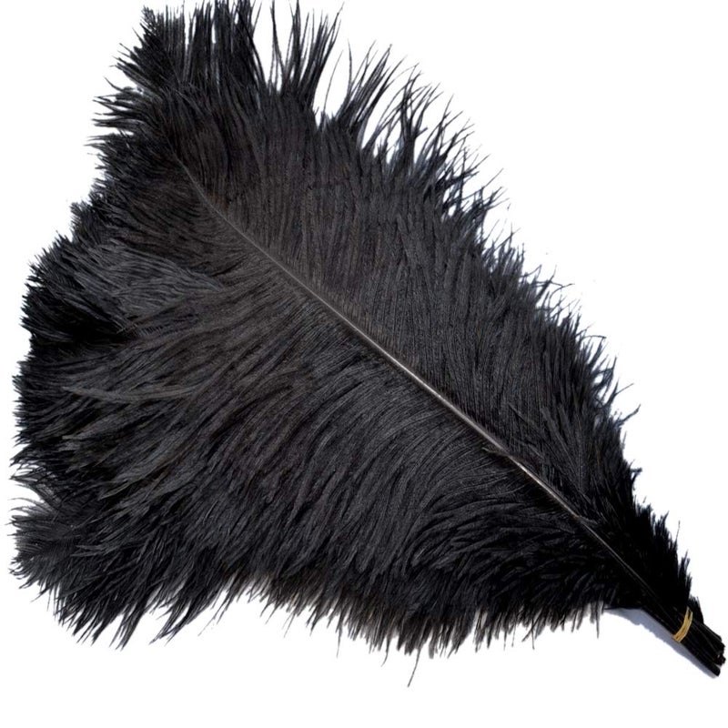 Sowder 5pcs Ostrich Feathers 1618inch4045cm Home Wedding DecorationBlack