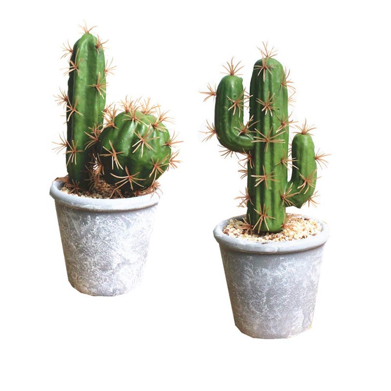 Fycooler Artificial Succulent Plants Faux Cactus Decorative Succulents Potted Fake Cacti with Gray Pots Artificial Cactus for BathroomHome Decor House DecorationsB Set
