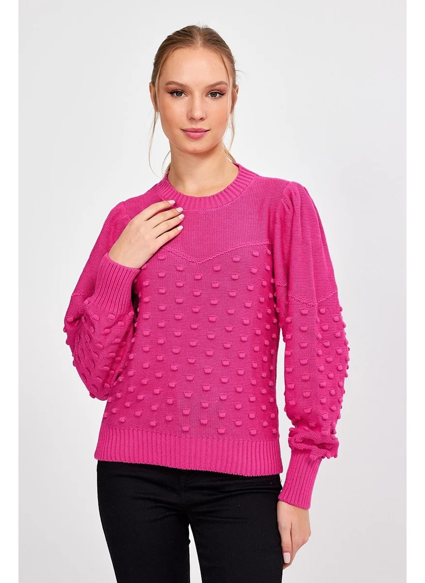 Alexandergardi Alexandergardı Crew Neck Knitted Sweater (AG-OUTKN0936)
