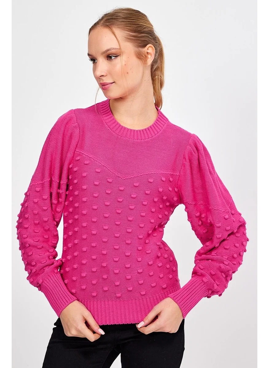 Alexandergardi Alexandergardı Crew Neck Knitted Sweater (AG-OUTKN0936)