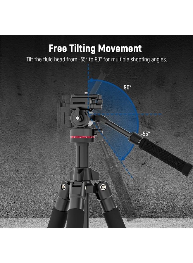 Neewer NEEWER Video Tripod Head Upgraded Vertical/Horizontal Switch, Compact Metal Pan Tilt Fluid Head with Arca Type QR Plate, Telescopic Handle, Scaled Base (⌀43mm) for Camcorder/DSLR, Max Load 3kg, GM26  - Image 4