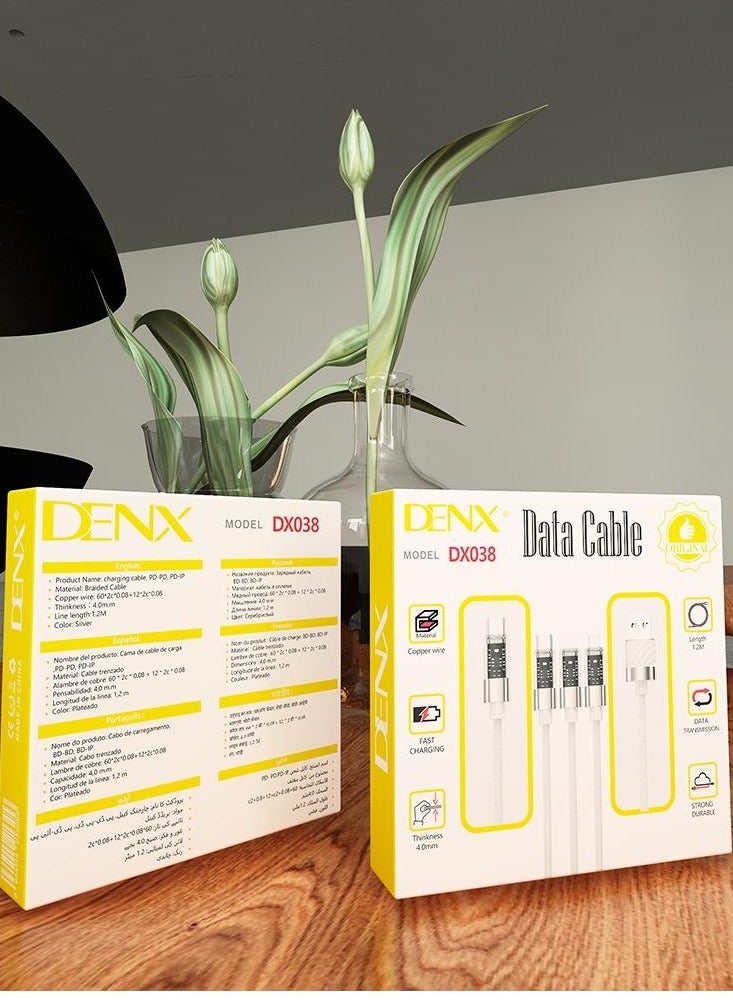 Denx Denx 038 mobile charger connector with an elegant, high-speed design  - Image 4