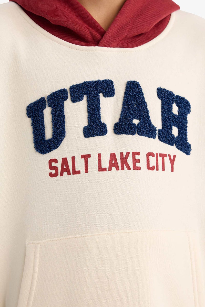 ديفاكتو سويت شيرت بغطاء رأس بأكمام طويلة وقصة واسعة للأولاد - Image 4